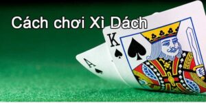 Cách chơi dì xác hiệu quả