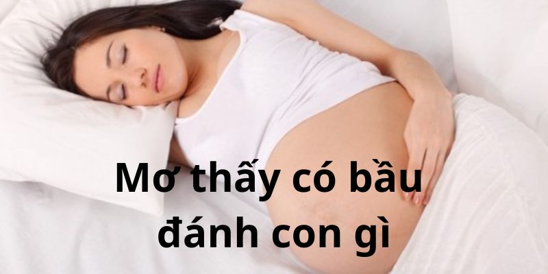 Con số liên quan khi mơ thấy có bầu